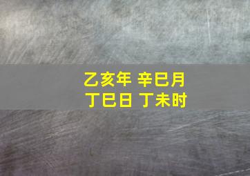 乙亥年 辛巳月 丁巳日 丁未时